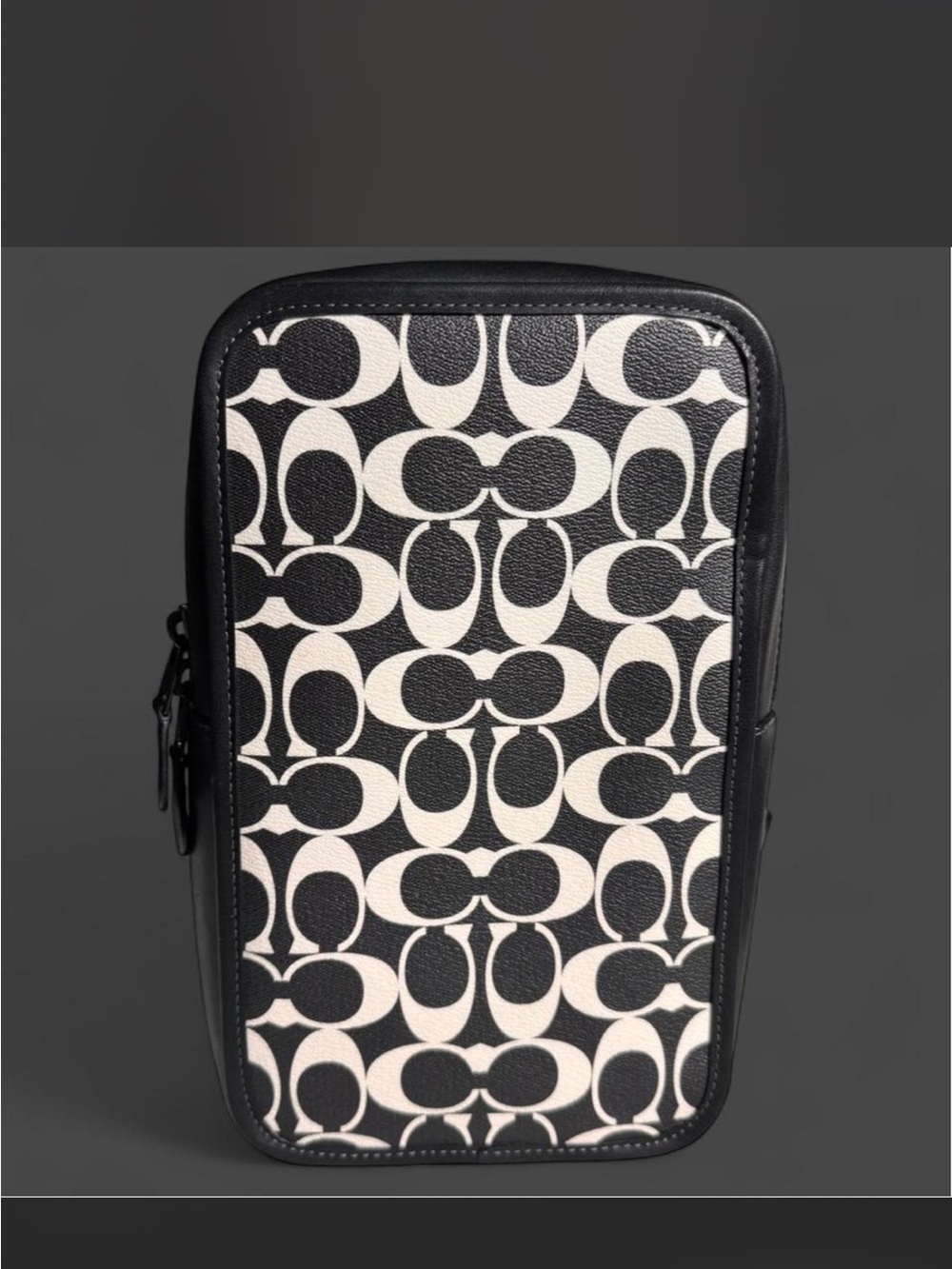 Coach Sullivan Crossbody Pack In Black and White
Signature Canvas